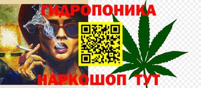 гашик Донской