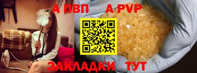 гашик Донской