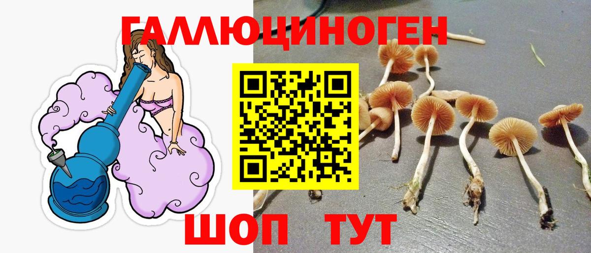 Псилоцибиновые грибы Cubensis  Вход с VPN  Лесной  Галлюциногенные грибы Psilocybe 